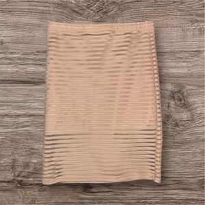 Elegant mesh Tan pencil Skirt